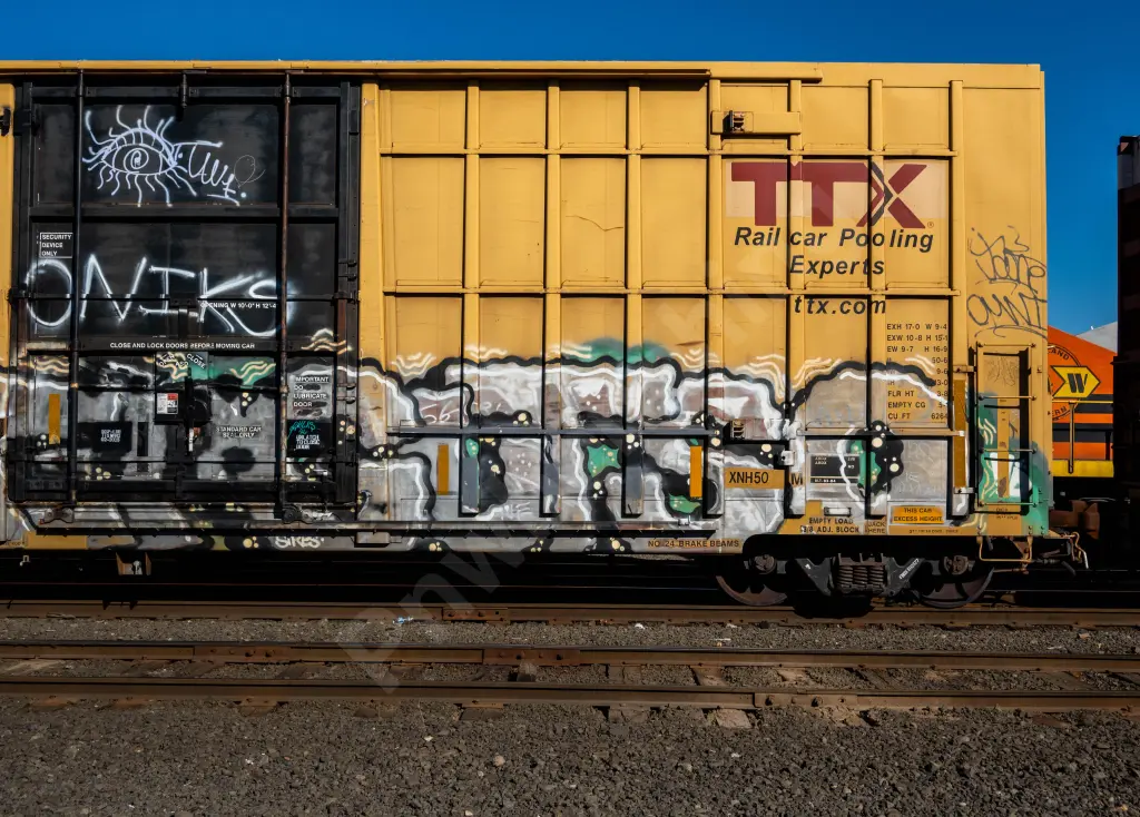 FBOX502577 - NORTH-AMERICA