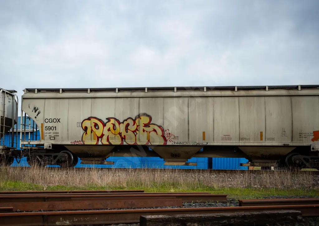 CGOX5901 - NORTH-AMERICA
