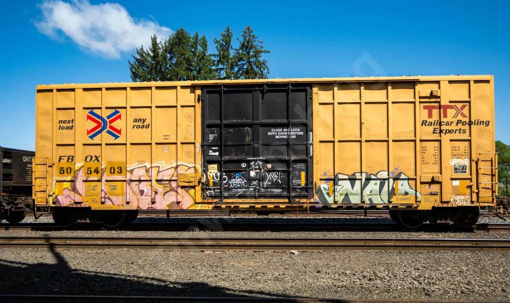 FBOX505403 - NORTH-AMERICA