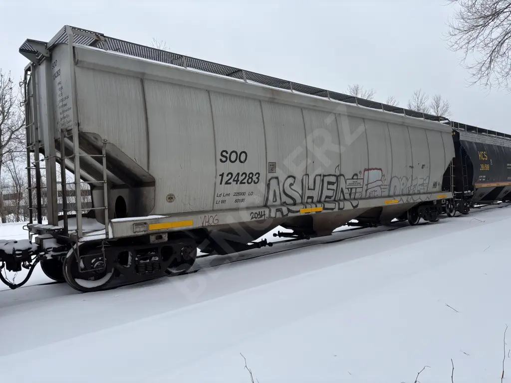 SOO124283 - NORTH-AMERICA