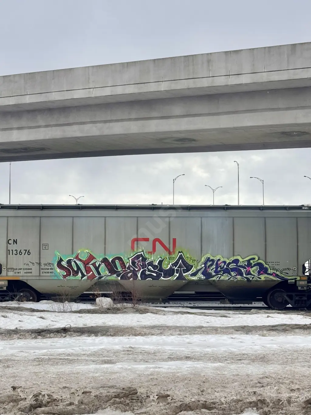 CN113676 - NORTH-AMERICA