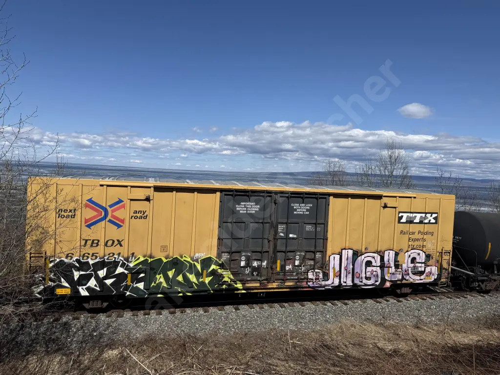 TBOX665211 - NORTH-AMERICA