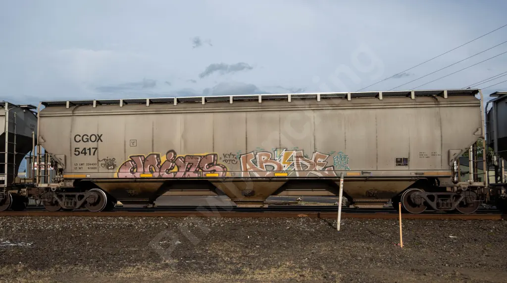 CGOX5417 - NORTH-AMERICA