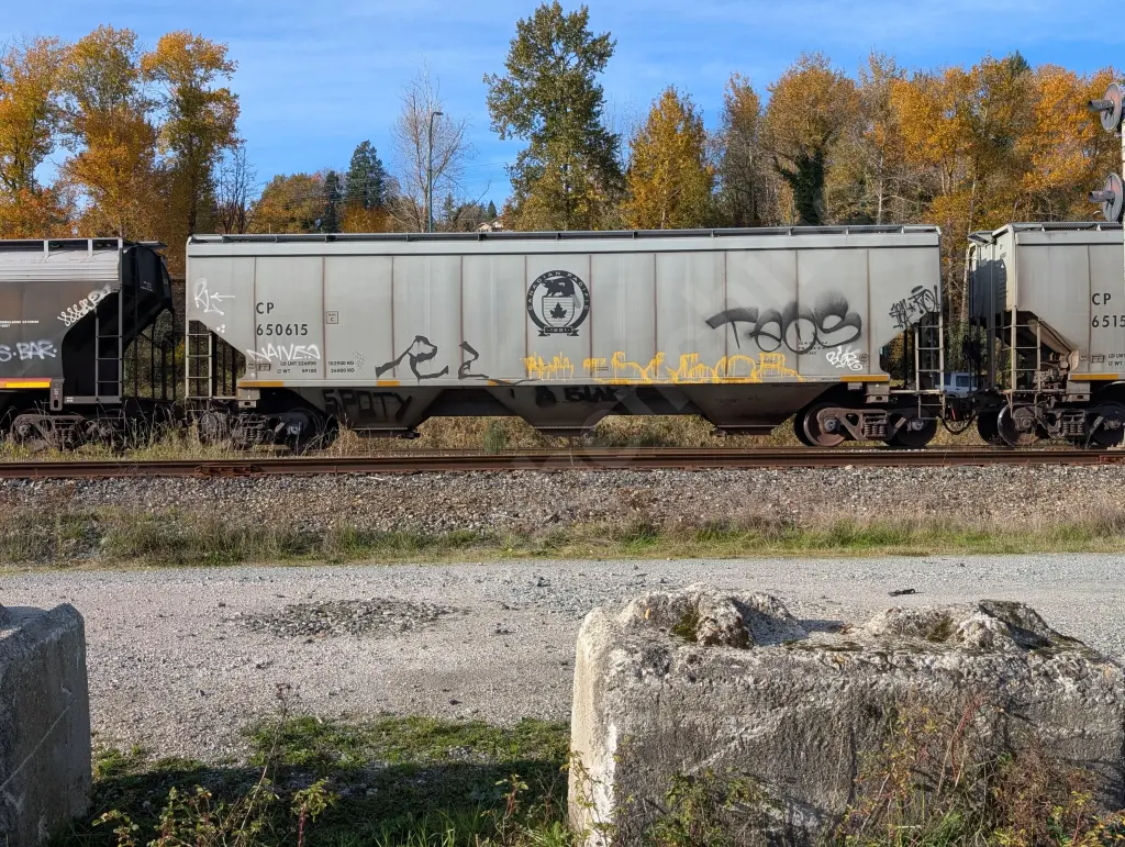 CP650615 - NORTH-AMERICA