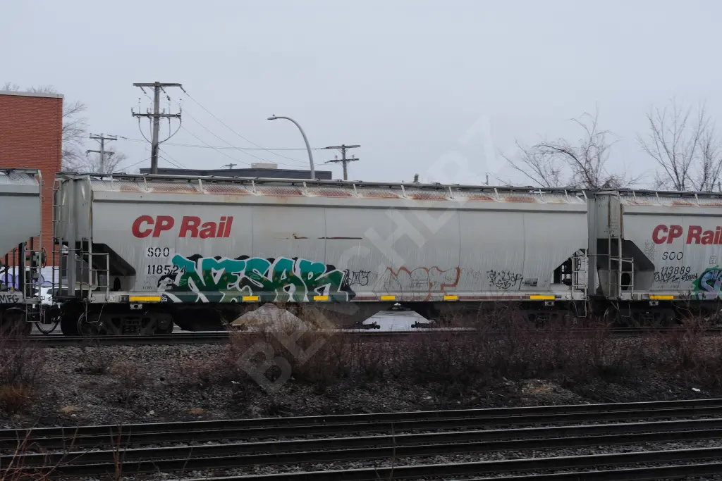SOO118524 - NORTH-AMERICA
