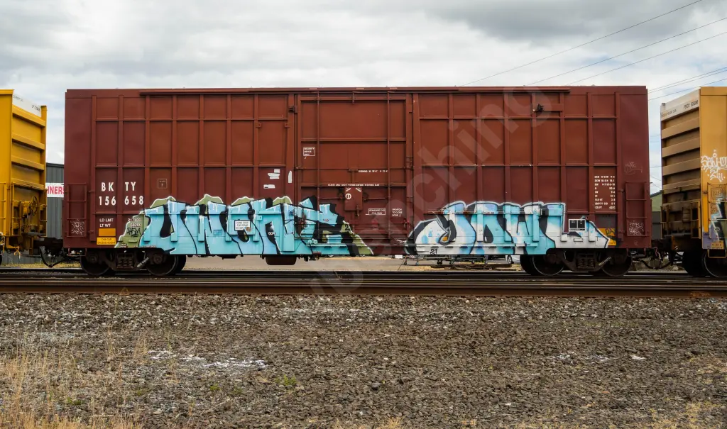 BKTY156658 - NORTH-AMERICA