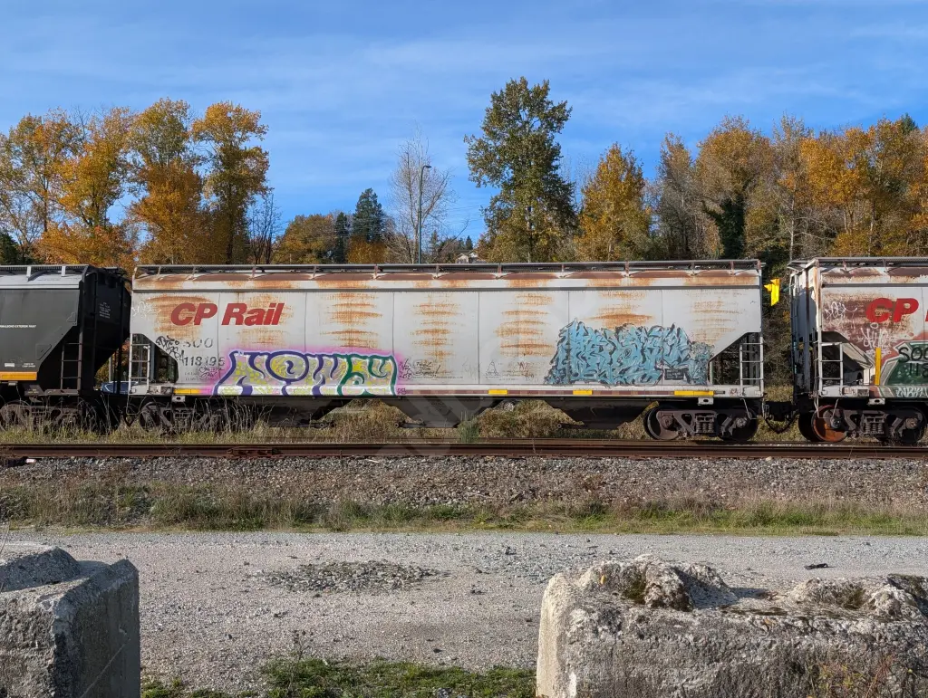 SOO118195 - NORTH-AMERICA