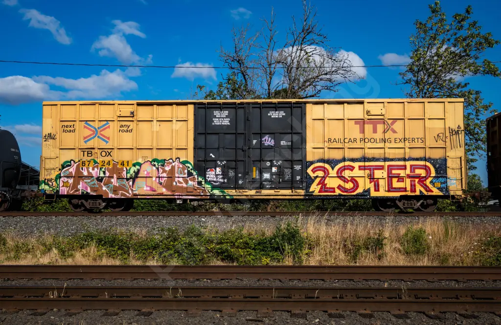 TBOX672441 - NORTH-AMERICA