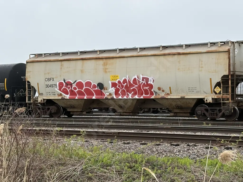 CBFX304975 - NORTH-AMERICA