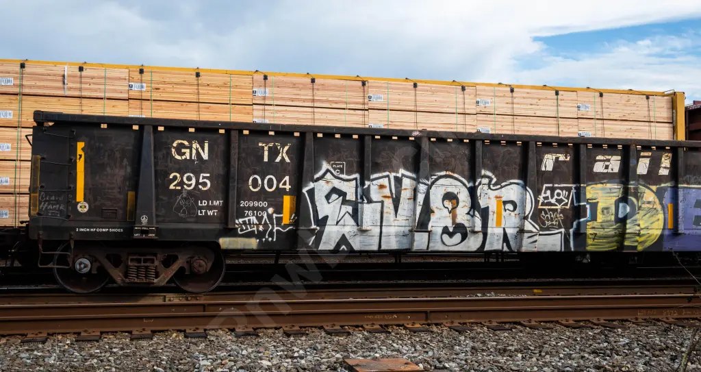 GNTX295004 - NORTH-AMERICA