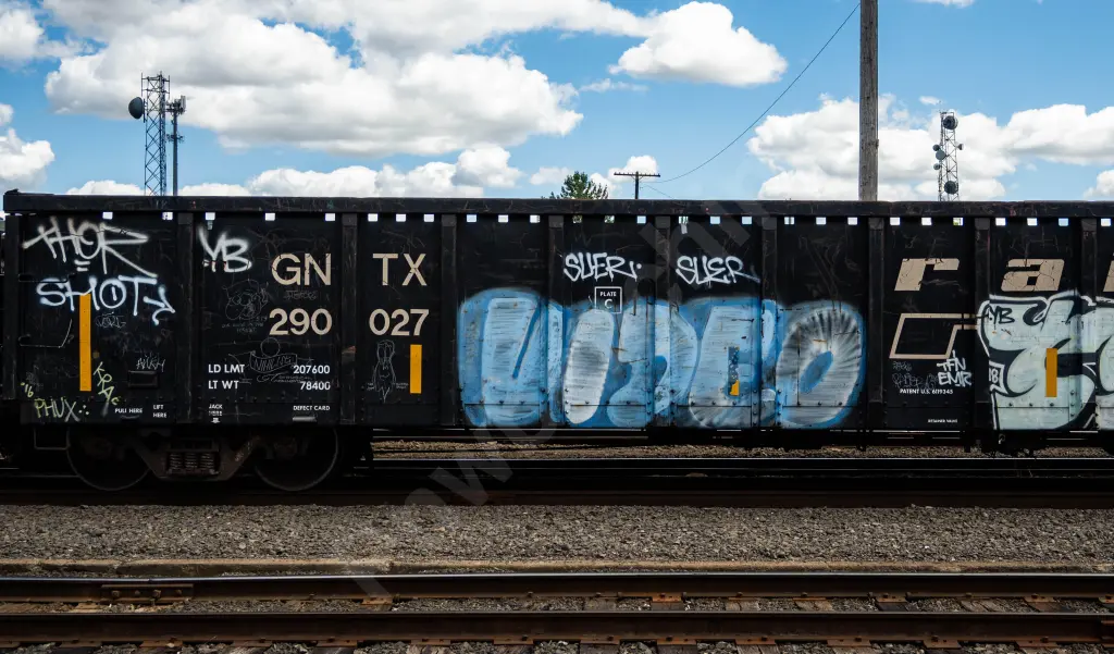 GNTX290027 - NORTH-AMERICA