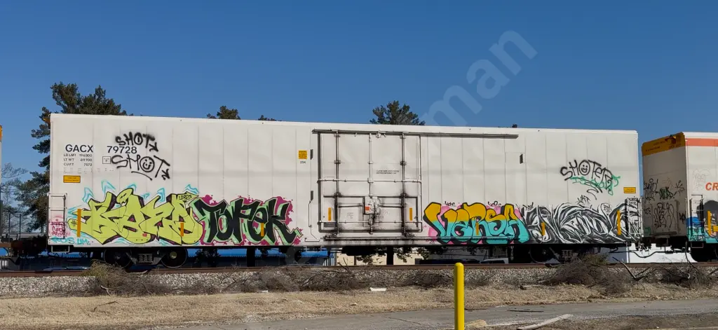 GACX79728 - NORTH-AMERICA