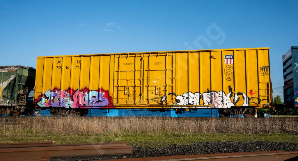 UP701671 - NORTH-AMERICA