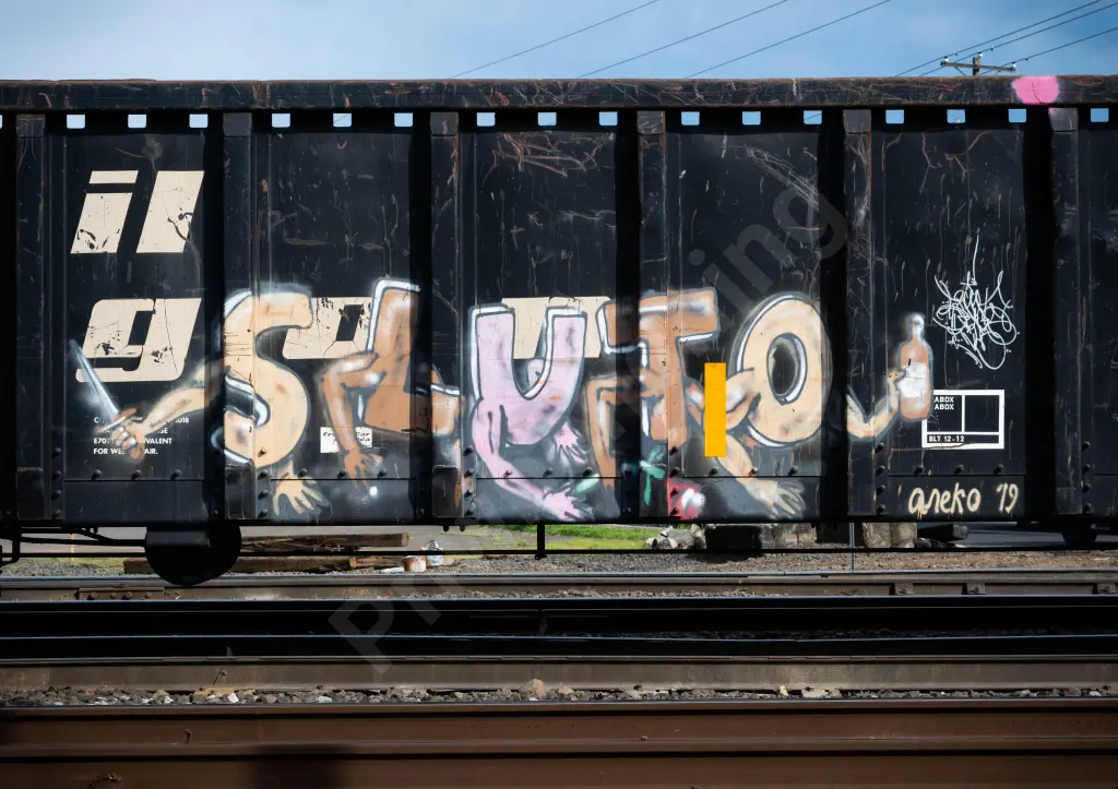 GNTX290117 - NORTH-AMERICA