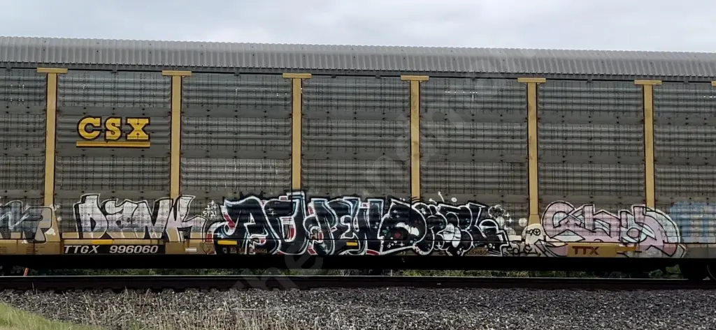 TTGX996060 - NORTH-AMERICA