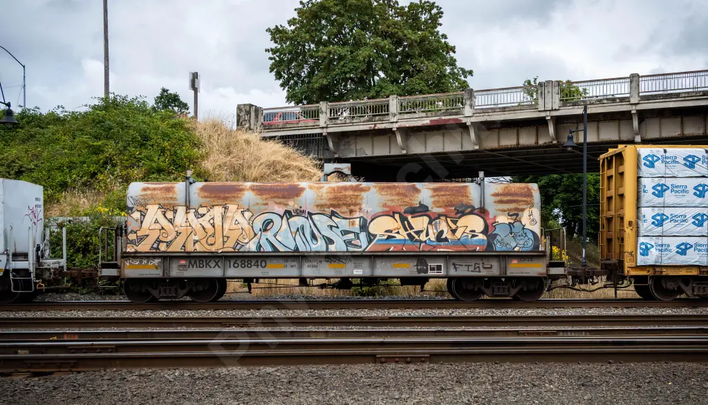 MBKX168840 - NORTH-AMERICA