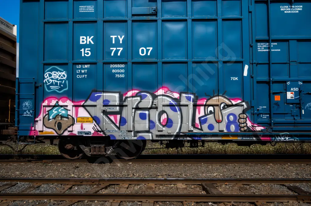 BKTY157707 - NORTH-AMERICA