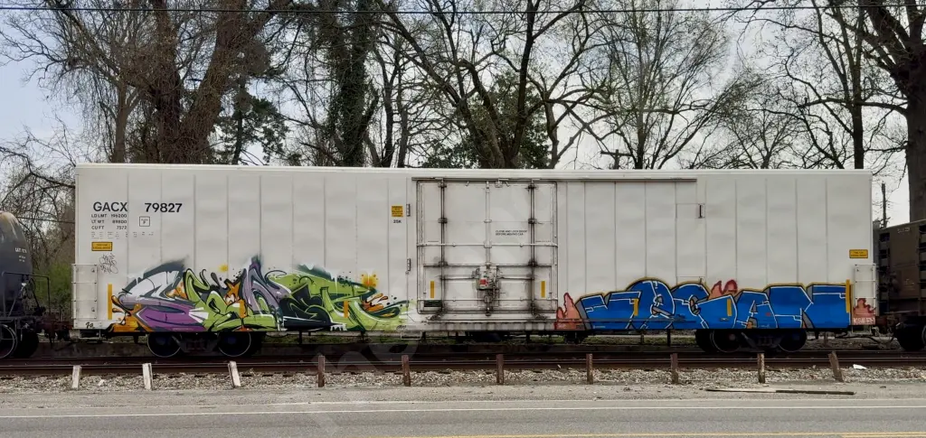 GACX79827 - NORTH-AMERICA