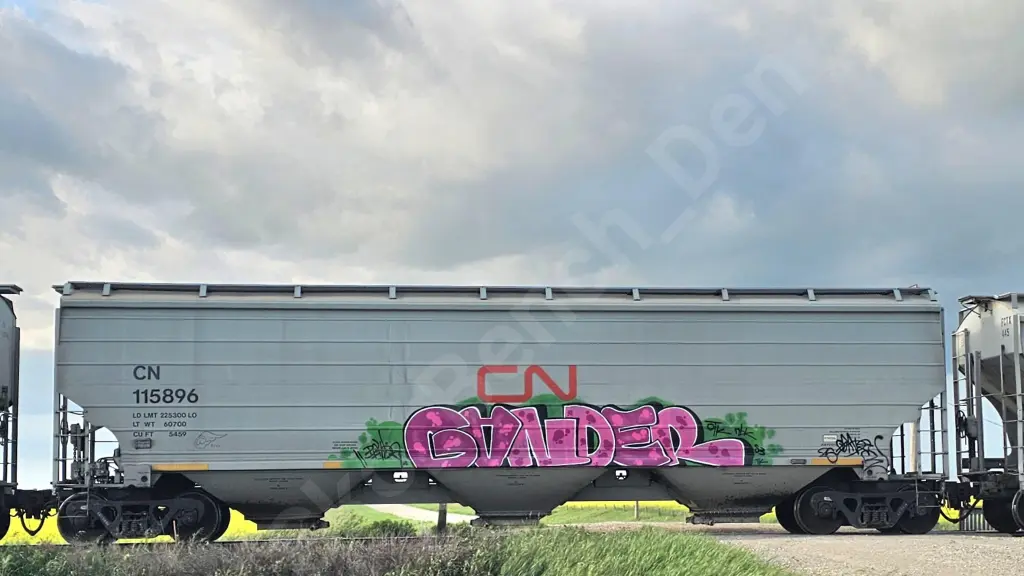 CN115896 - NORTH-AMERICA