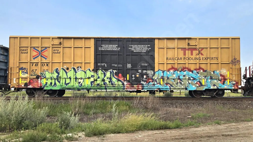 TBOX673009 - NORTH-AMERICA