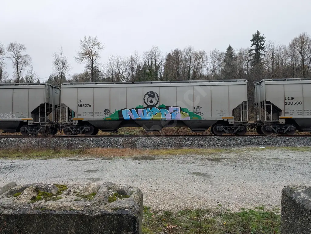CP655276 - NORTH-AMERICA