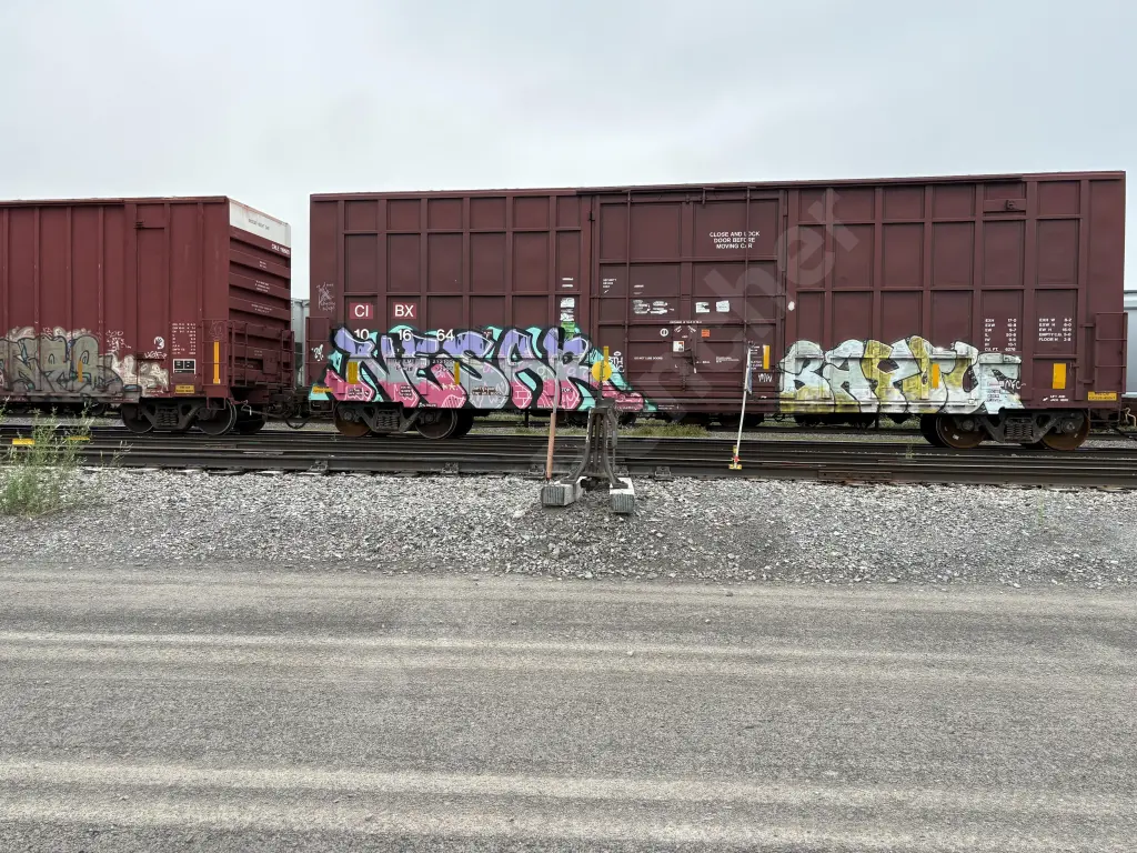 CIBX101664 - NORTH-AMERICA