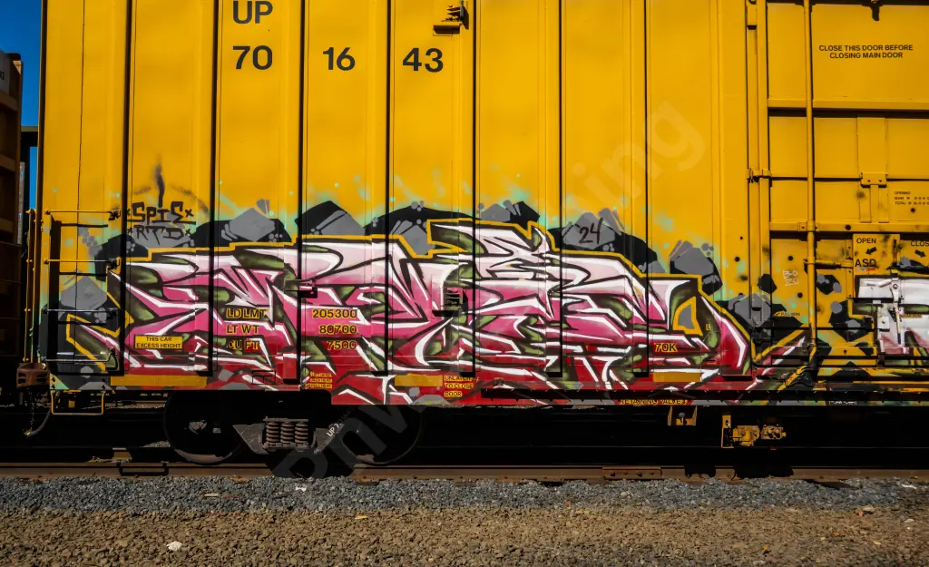 UP701643 - NORTH-AMERICA