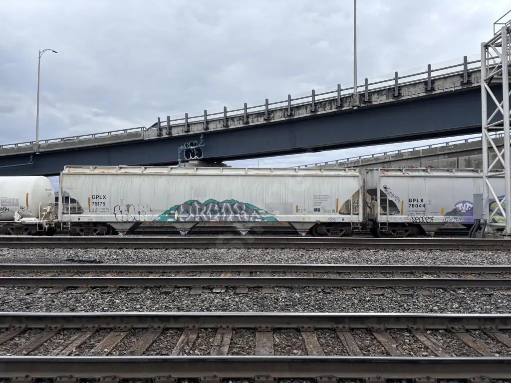 GPLX75175 - NORTH-AMERICA