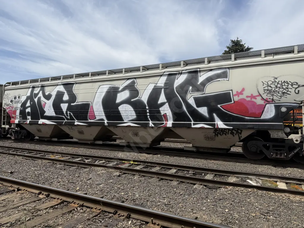 MWCX482124 - NORTH-AMERICA