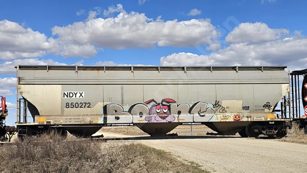 NDYX850272 - NORTH-AMERICA