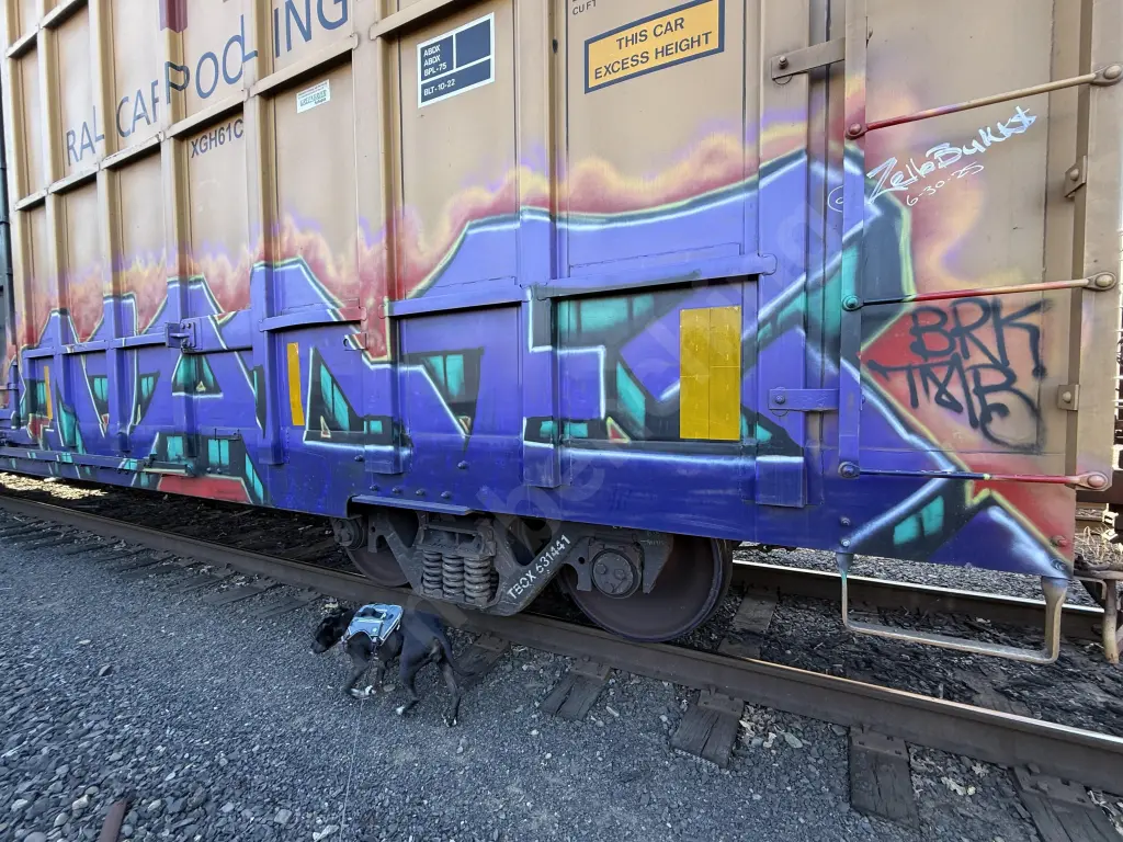 TBOX631441 - NORTH-AMERICA