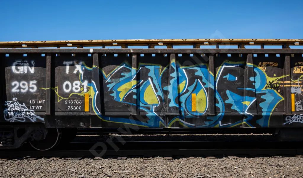 GNTX295081 - NORTH-AMERICA