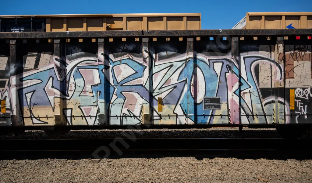 GNTX290011 - NORTH-AMERICA