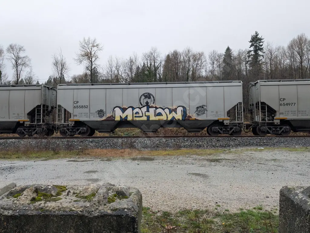 CP655852 - NORTH-AMERICA