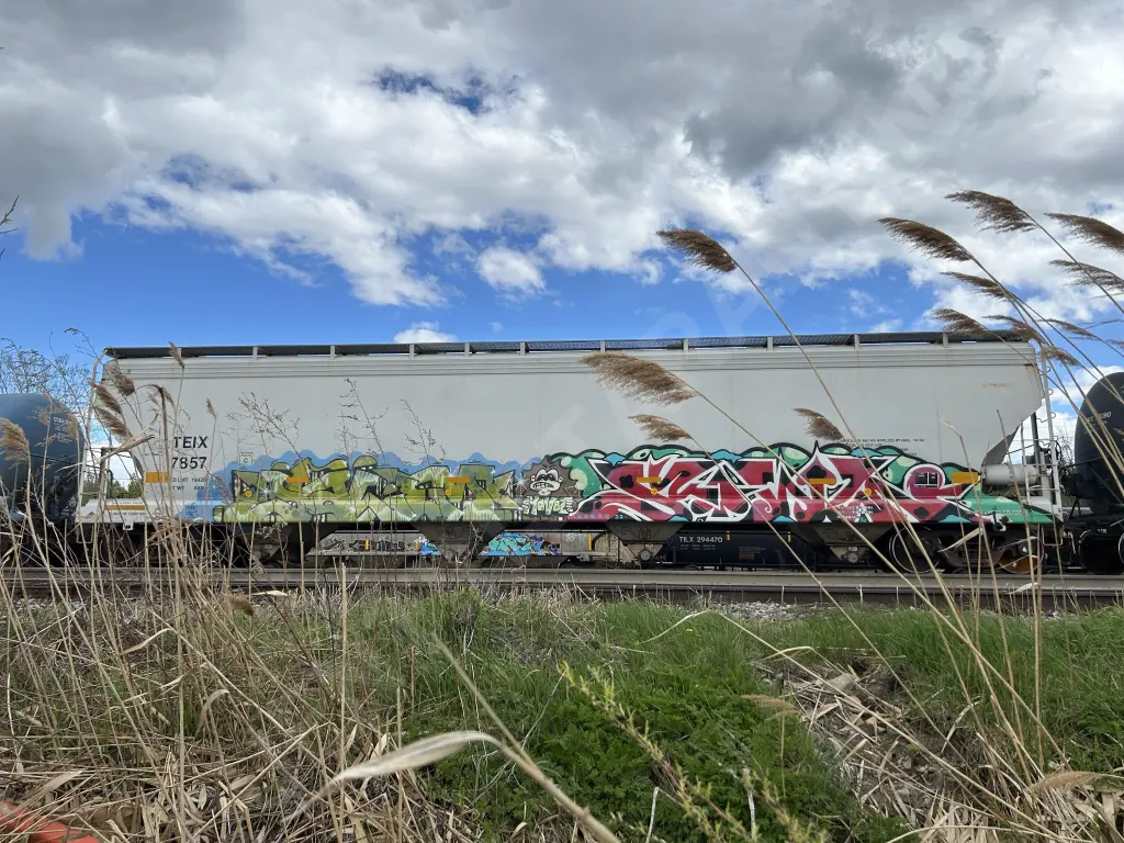 TEIX7857 - NORTH-AMERICA