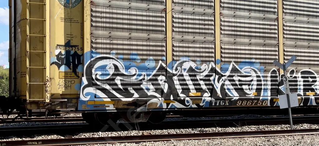 TTGX986750 - NORTH-AMERICA