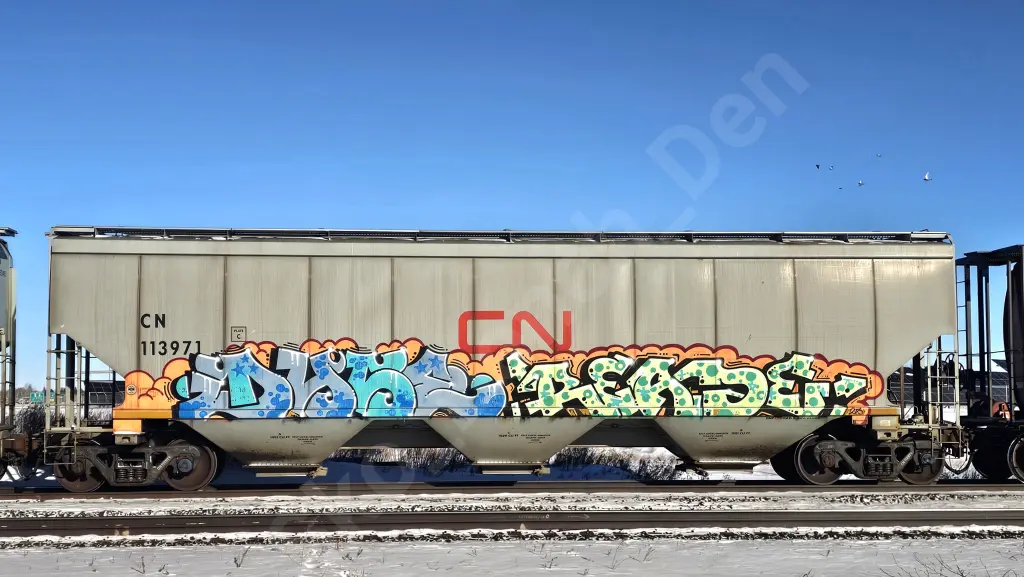 CN113971 - NORTH-AMERICA