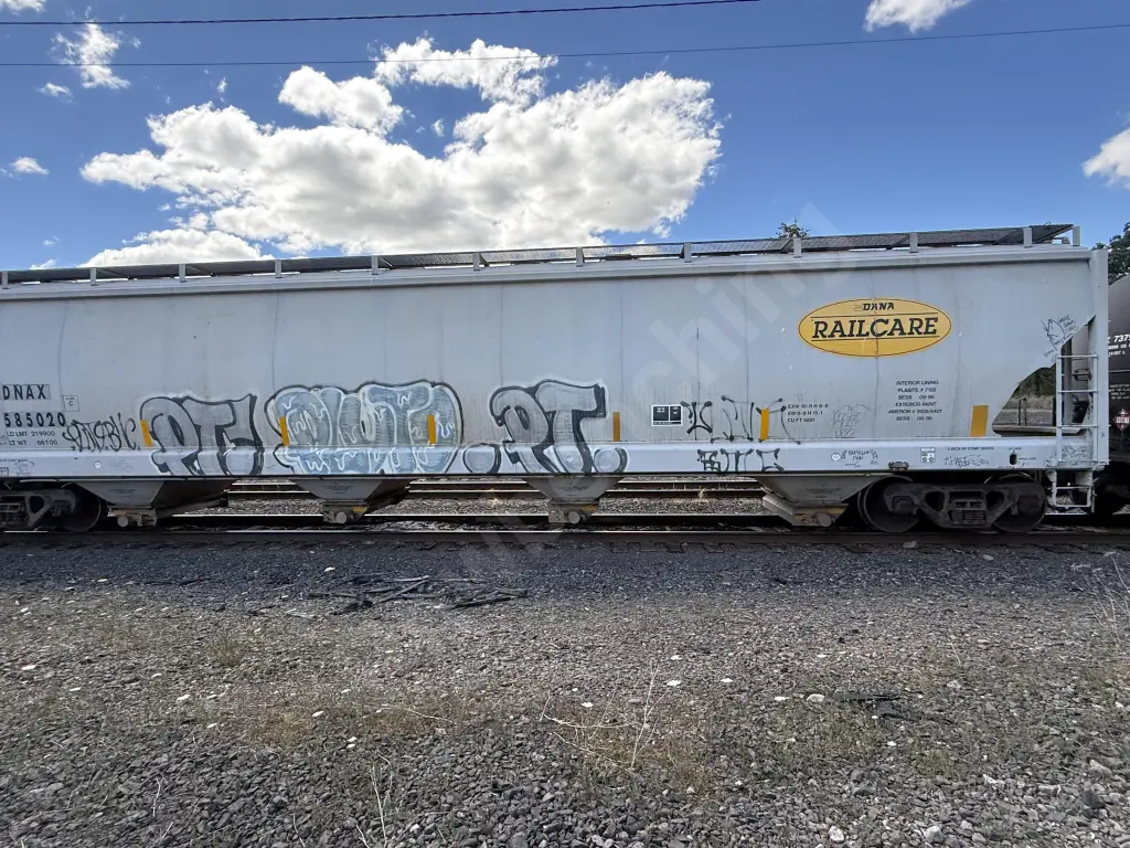 DNAX585020 - NORTH-AMERICA