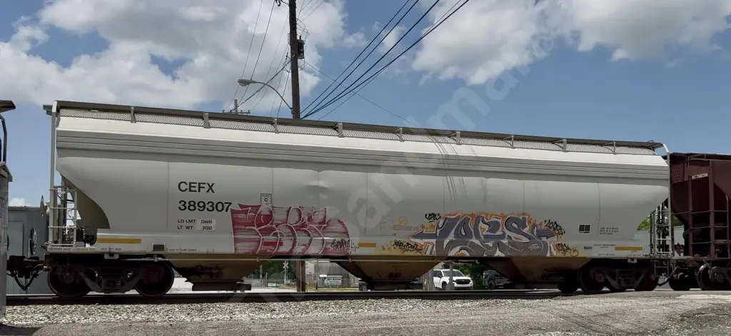 CEFX389307 - NORTH-AMERICA