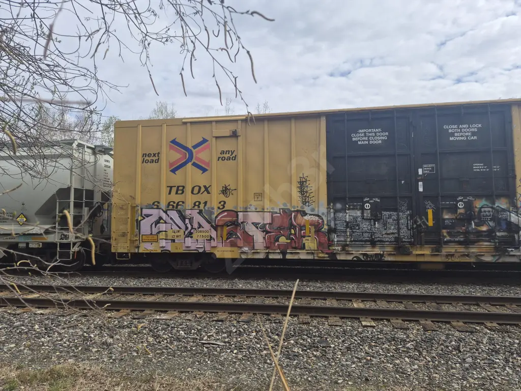 TBOX666813 - NORTH-AMERICA