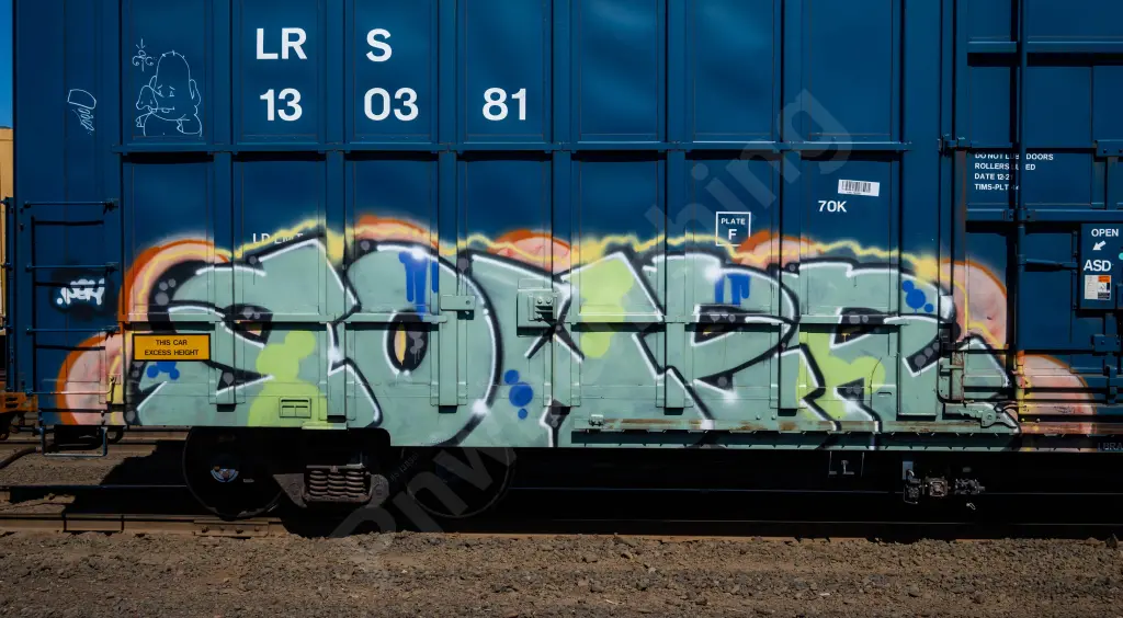 LRS130381 - NORTH-AMERICA
