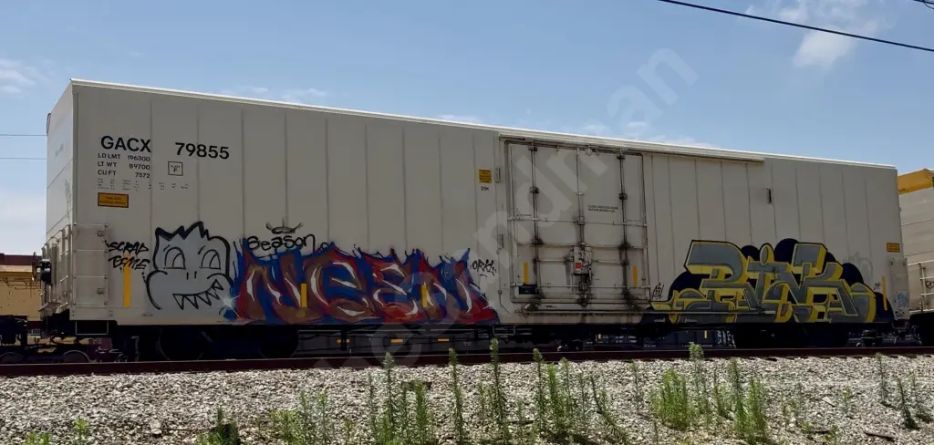 GACX79855 - NORTH-AMERICA