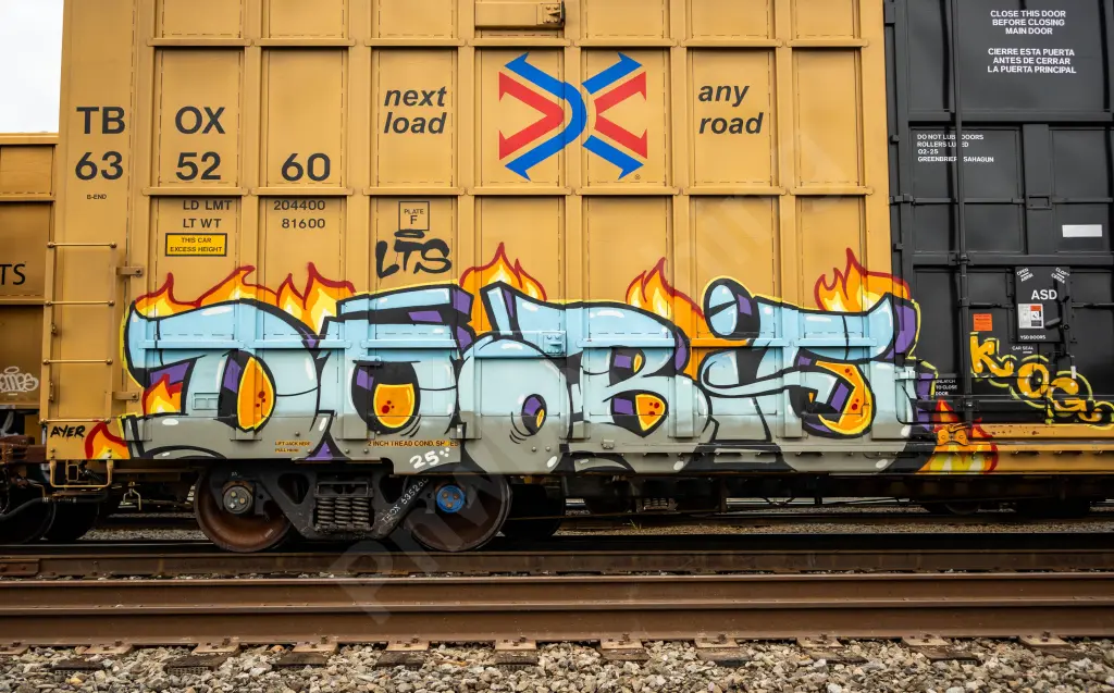 TBOX635260 - NORTH-AMERICA