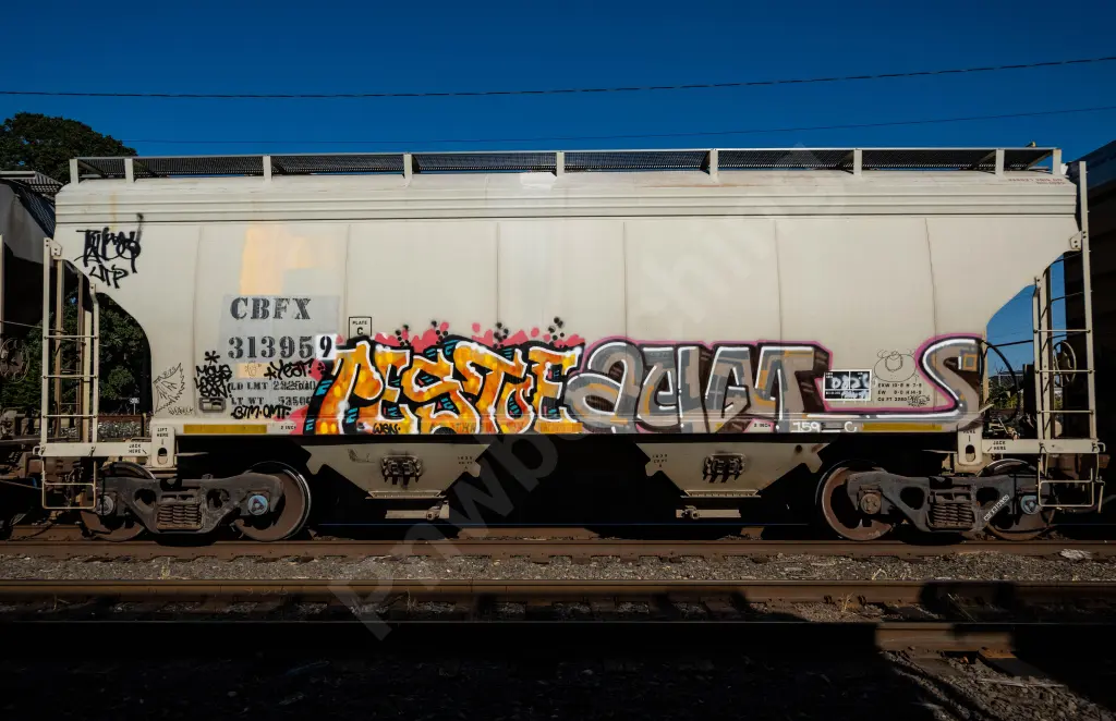 CBFX313959 - NORTH-AMERICA