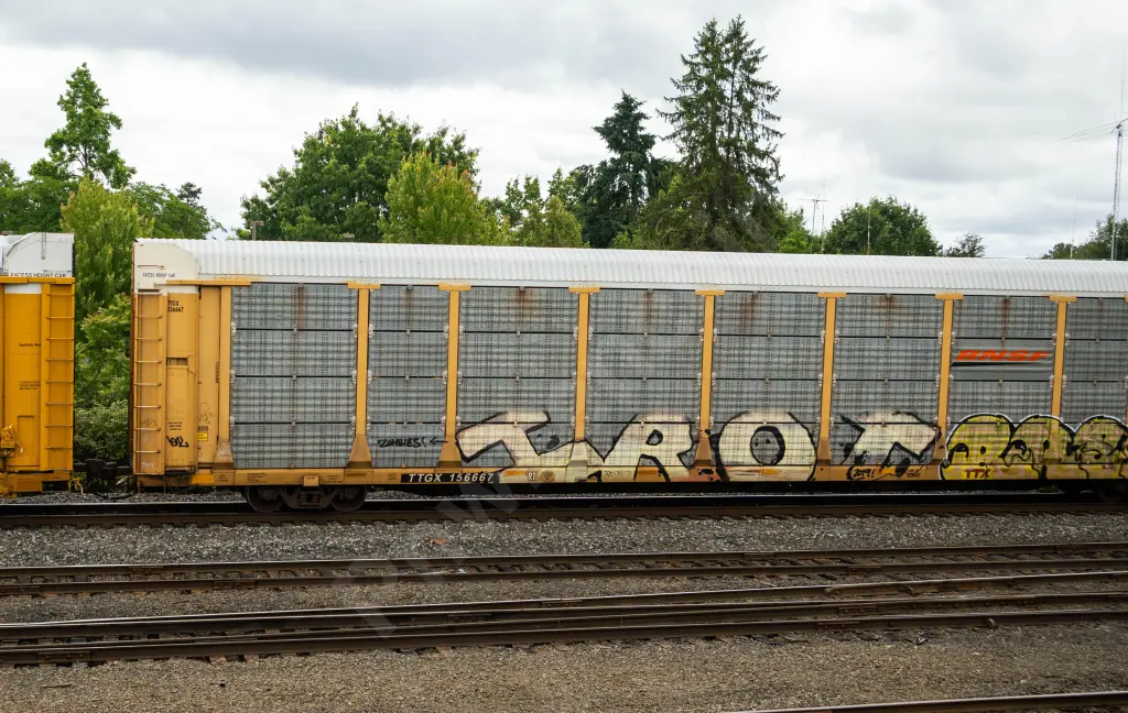 TTGX156667 - NORTH-AMERICA