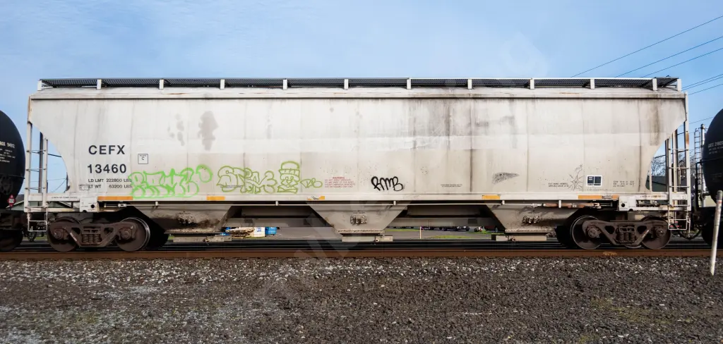 CEFX13460 - NORTH-AMERICA