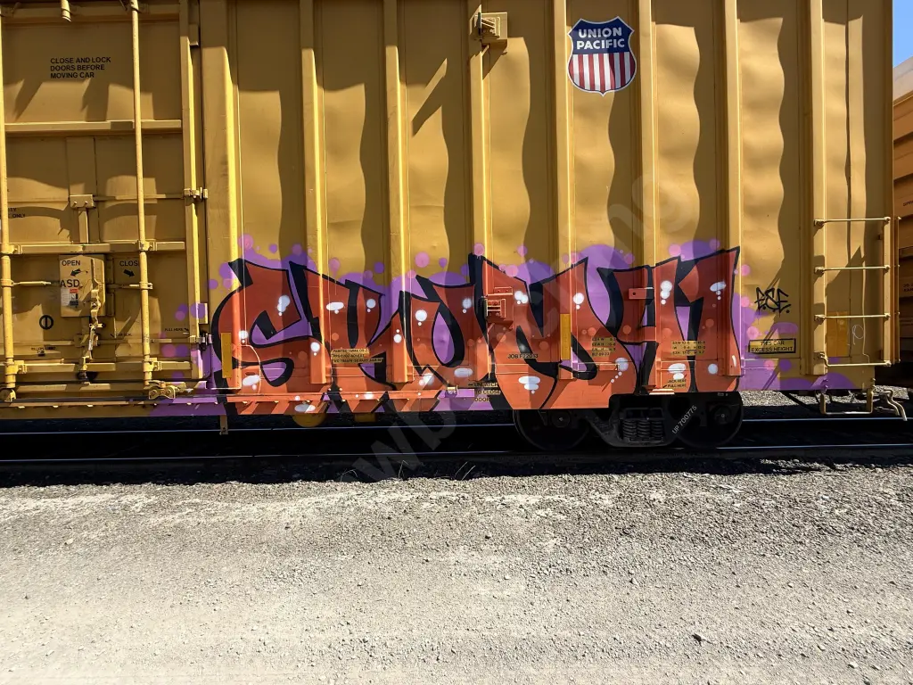 UP700775 - EUROPE