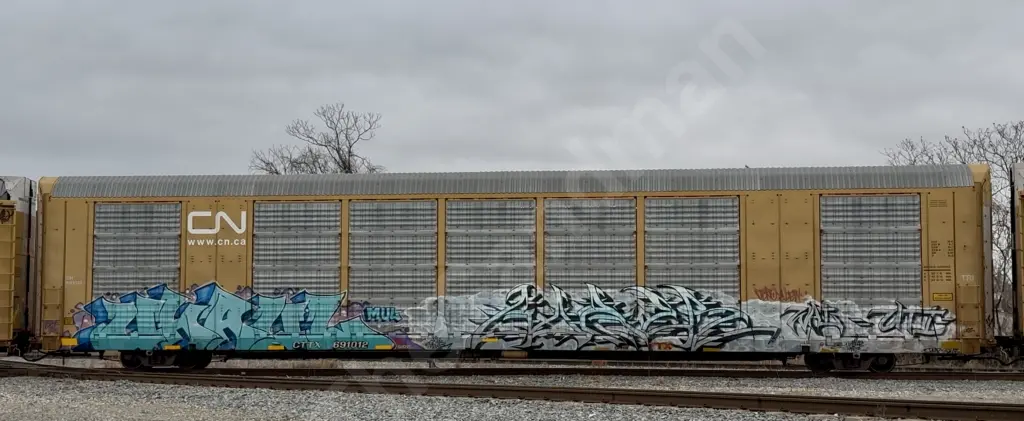 CTTX691012 - NORTH-AMERICA