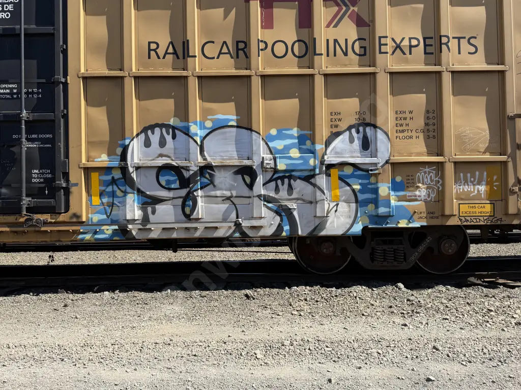 Train photo