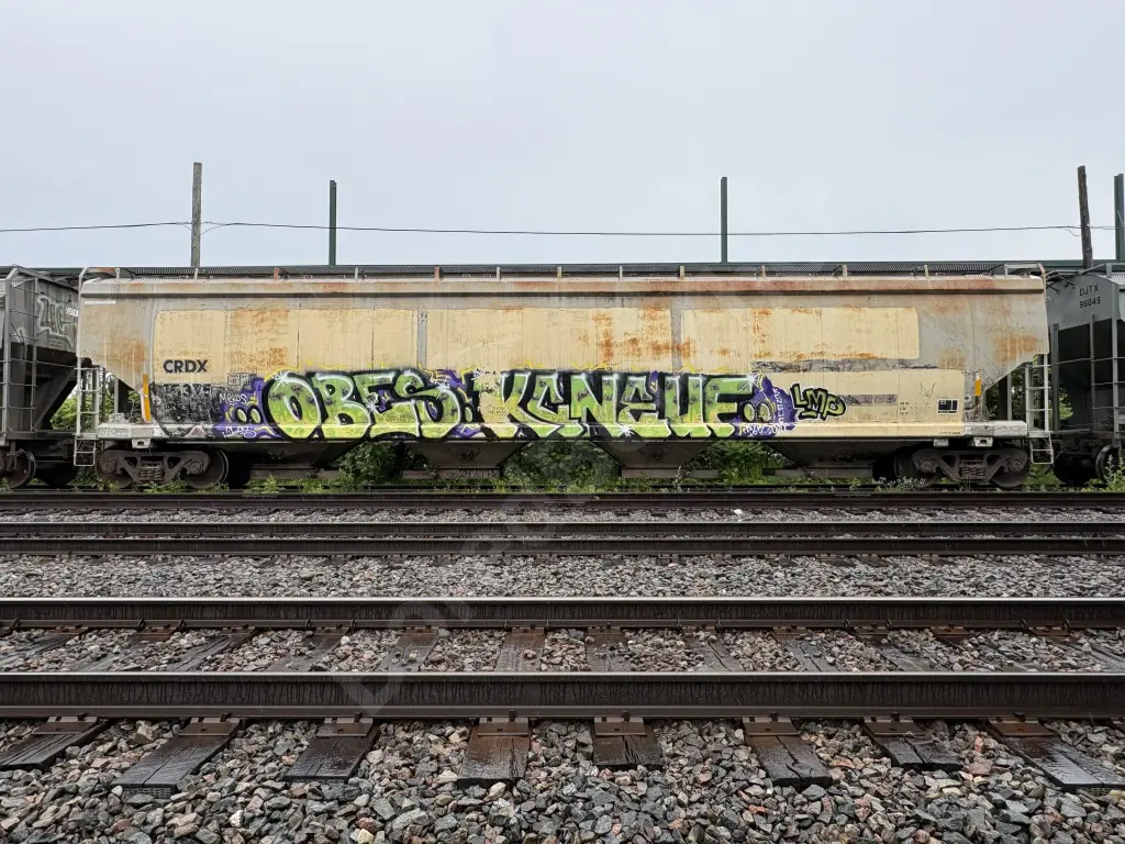 CRDX15375 - CANADA